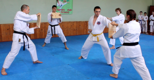 Показові виступи за 2013-2014 роки